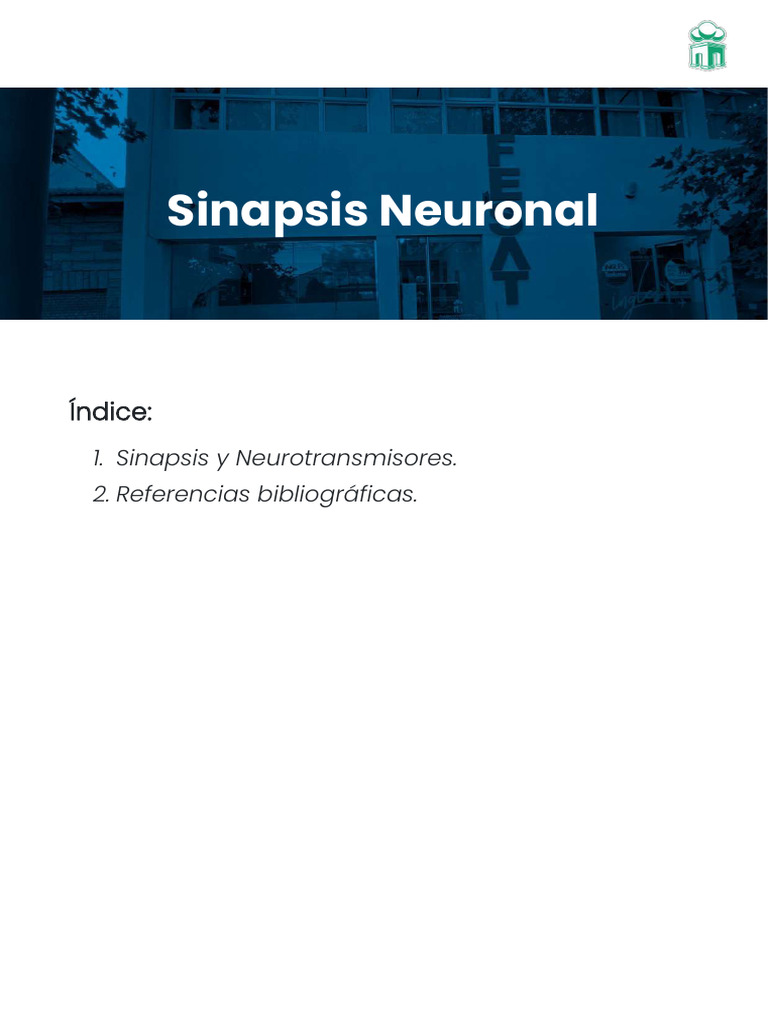 Sinapsis Neuronal | PDF | Sinapsis | Neurona