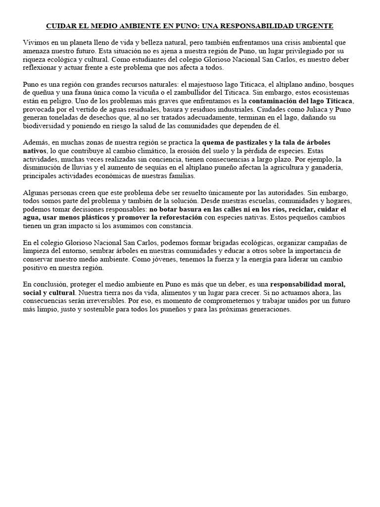Cuidado del Medio Ambiente en Puno | PDF | Residuos | Entorno natural