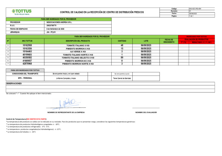 Formato 06 | PDF
