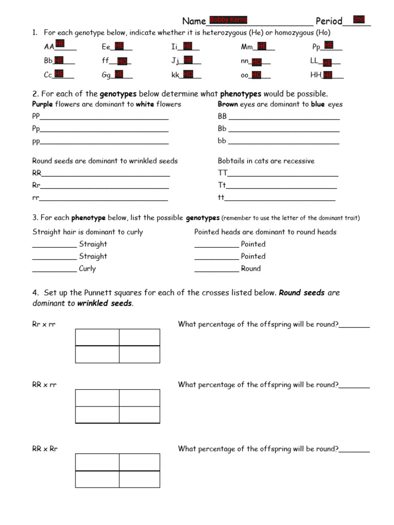 Genotype and Phenotype Practice Worksheet | PDF | Dominance (Genetics ...