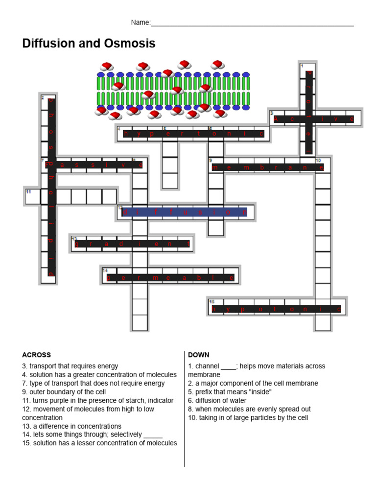 Diffusion and Osmosis Crossword Puzzle | PDF | Osmosis | Chess