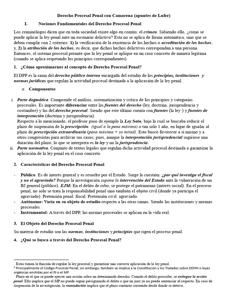 Fundamentos del Derecho Procesal Penal | PDF | Derecho penal | Ley procesal