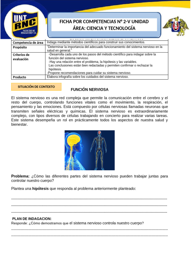 Ficha 5to18-23 Agosto 2025 Quinto Nervioso | PDF | Cerebro | Sistema ...