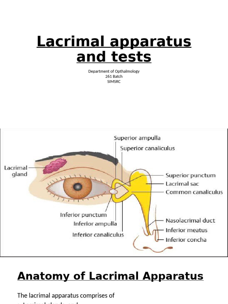 Lacrimal Apparatus Anatomy & Tests | PDF | Human Nose | Human Head And Neck