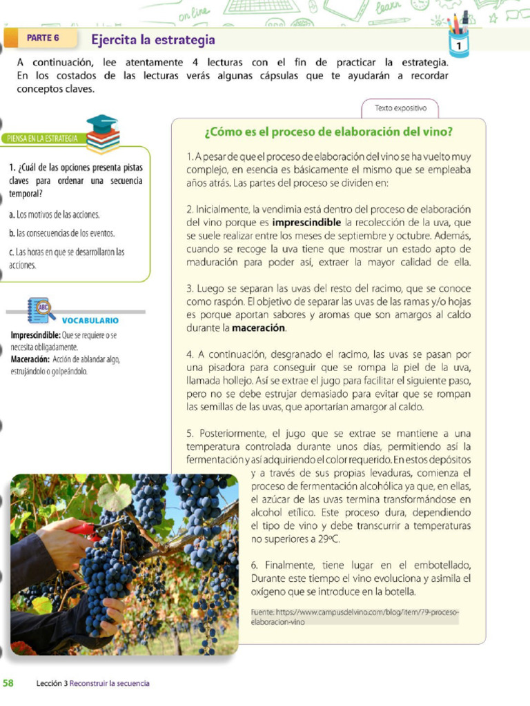 Como Se Elabora El Vino | PDF
