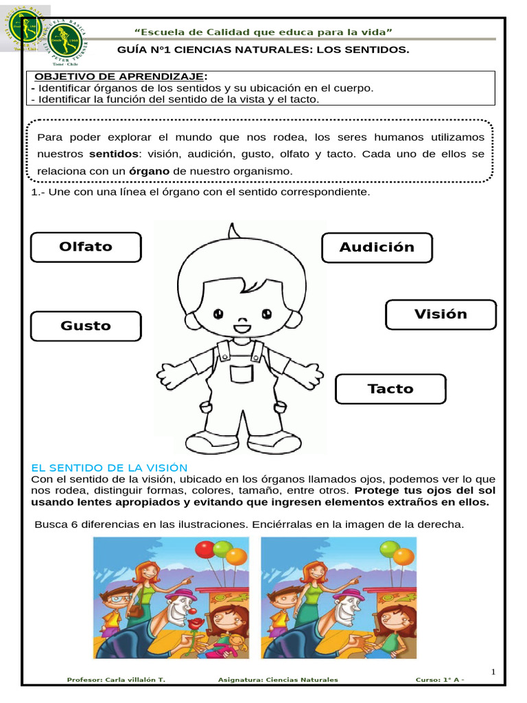 Guía de los 5 Sentidos para Primaria | PDF