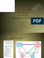 TERAPIA ESTRUCTURAL Tecnicas Reestructurantes