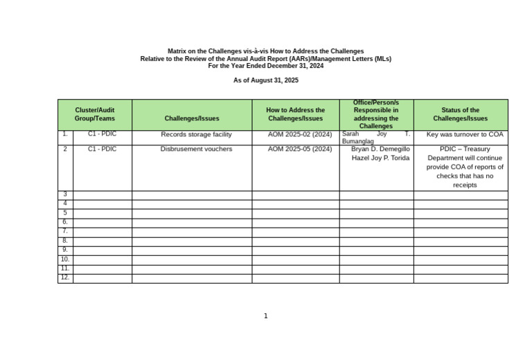 Audit Report Challenges and Solutions 2024 | PDF