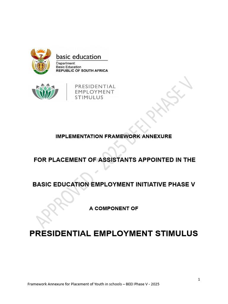 BEEI Phase V: Youth Placement Framework | PDF | Educational Technology ...