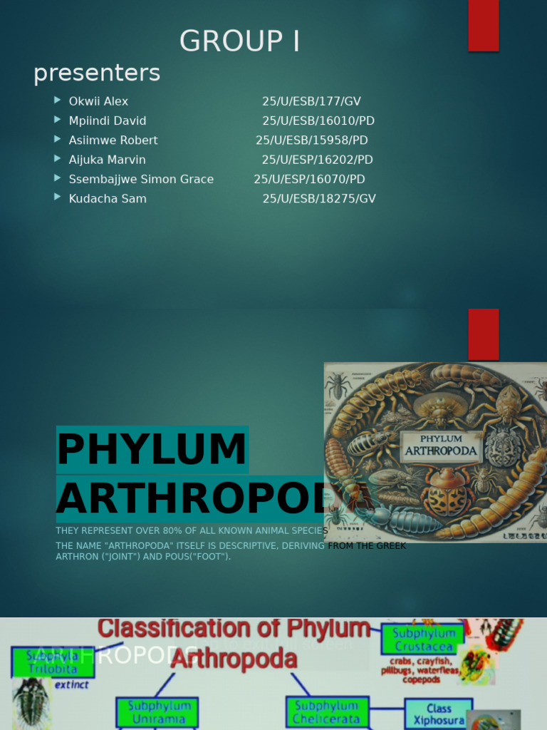 Overview of Phylum Arthropoda | PDF | Insects | Circulatory System