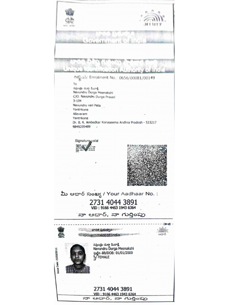 Document 125 | PDF