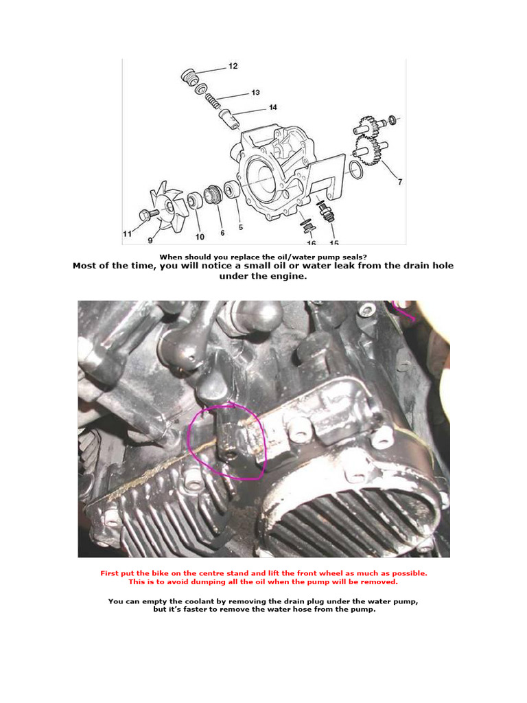 Replace Oil/Water Pump Seals Guide | PDF | Pump