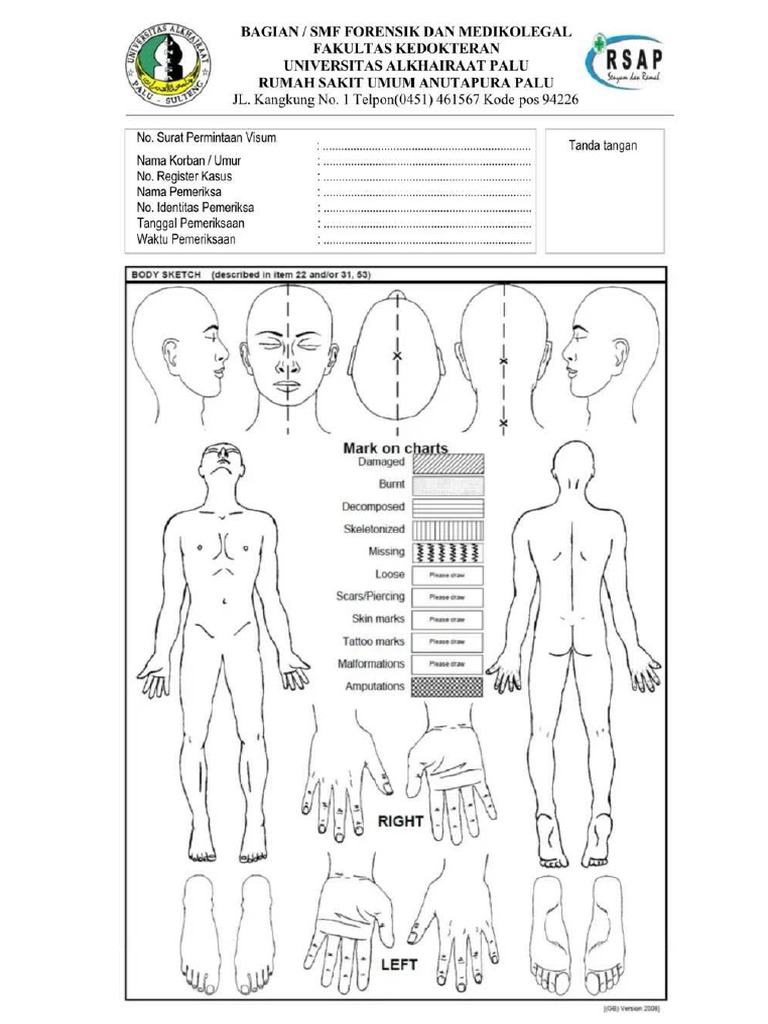 Body Chart | PDF