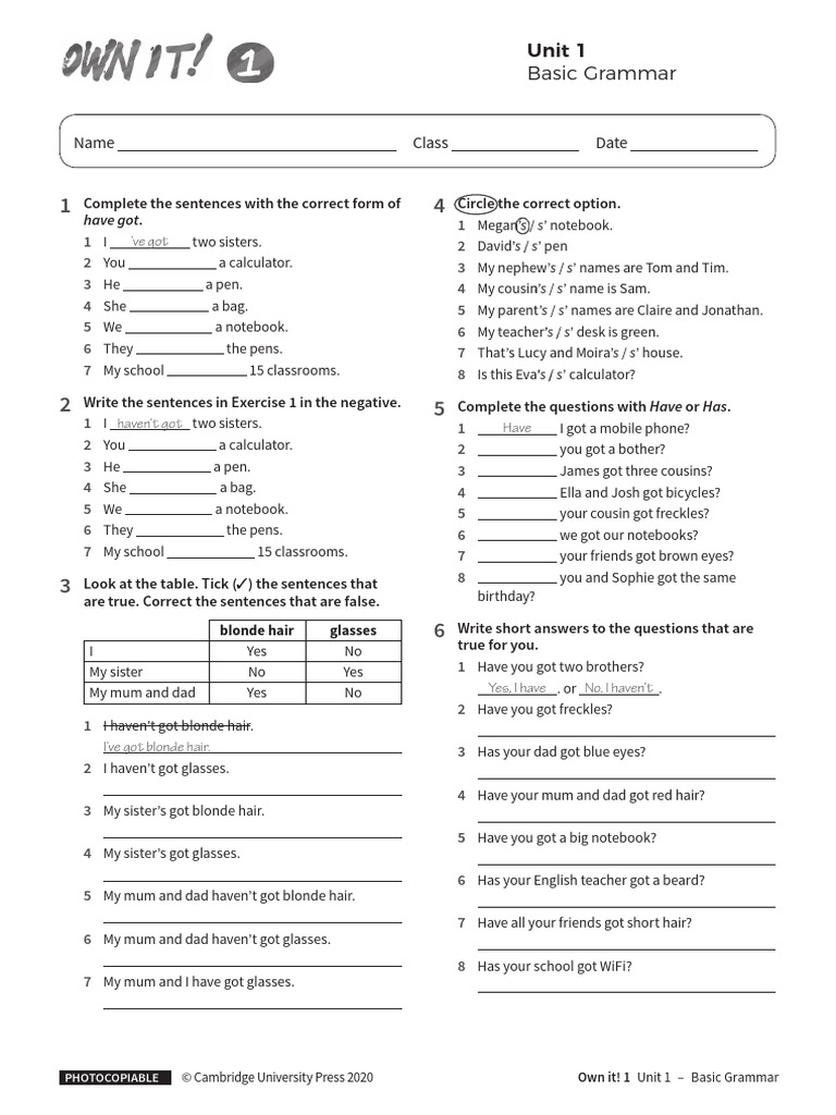 Basic Grammar: Have Got Exercises | PDF