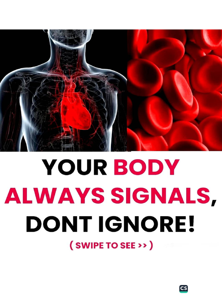 Body Signals | PDF