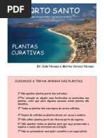 PORTO_SANTO_PLANTAS