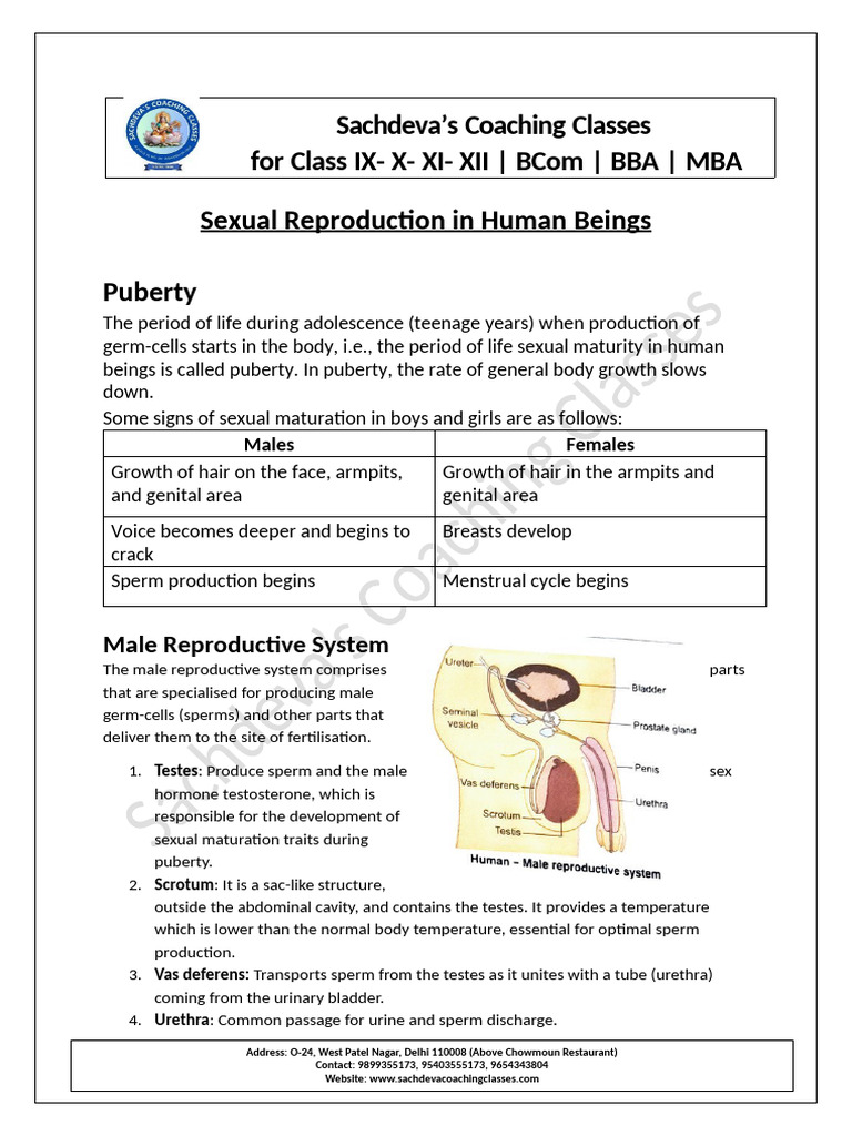 Sexual Reproduction in Humans | PDF | Birth Control | Reproductive System