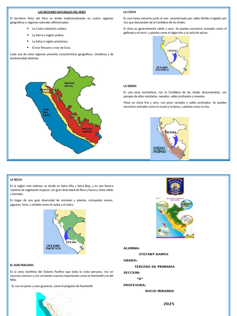 Regiones Naturales del Perú: Costa, Sierra, Selva y Mar | PDF | Andes ...