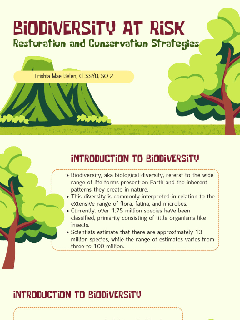 Biodiversity Conservation Strategies | PDF | Biodiversity | Ecosystem