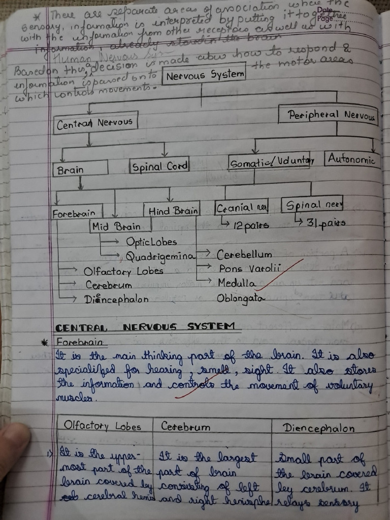 Biology Notes | PDF
