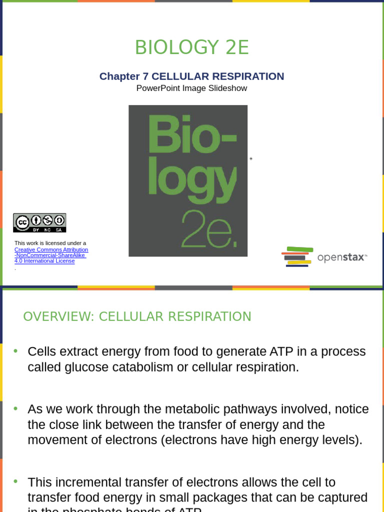 Cellular Respiration | PDF | Cellular Respiration | Adenosine Triphosphate