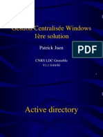SARI Windows Active Directory