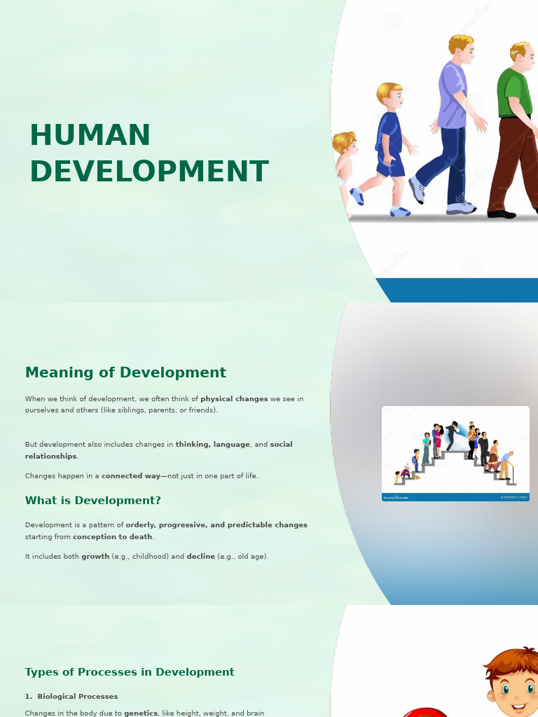 Understanding Human Development Stages | PDF | Human | Phenotype