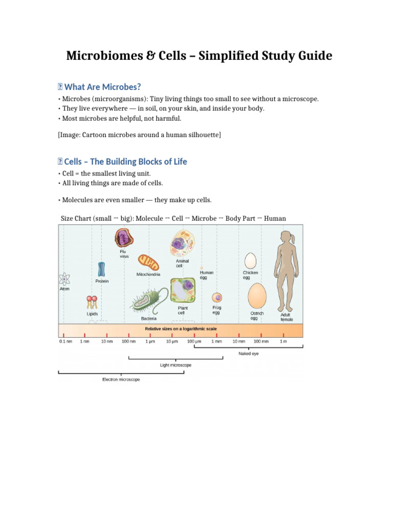 Simplified Microbiomes and Cells IEP 504 | PDF