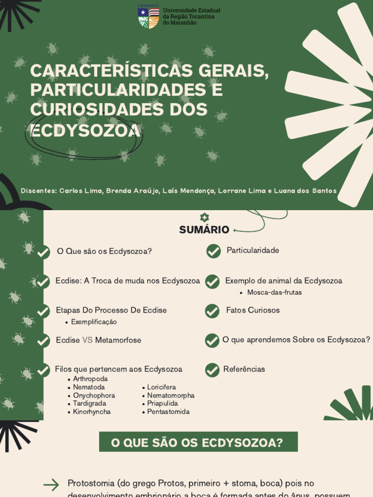 ECDYSOZOA - REFEITO | PDF | Nematoda | Biologia