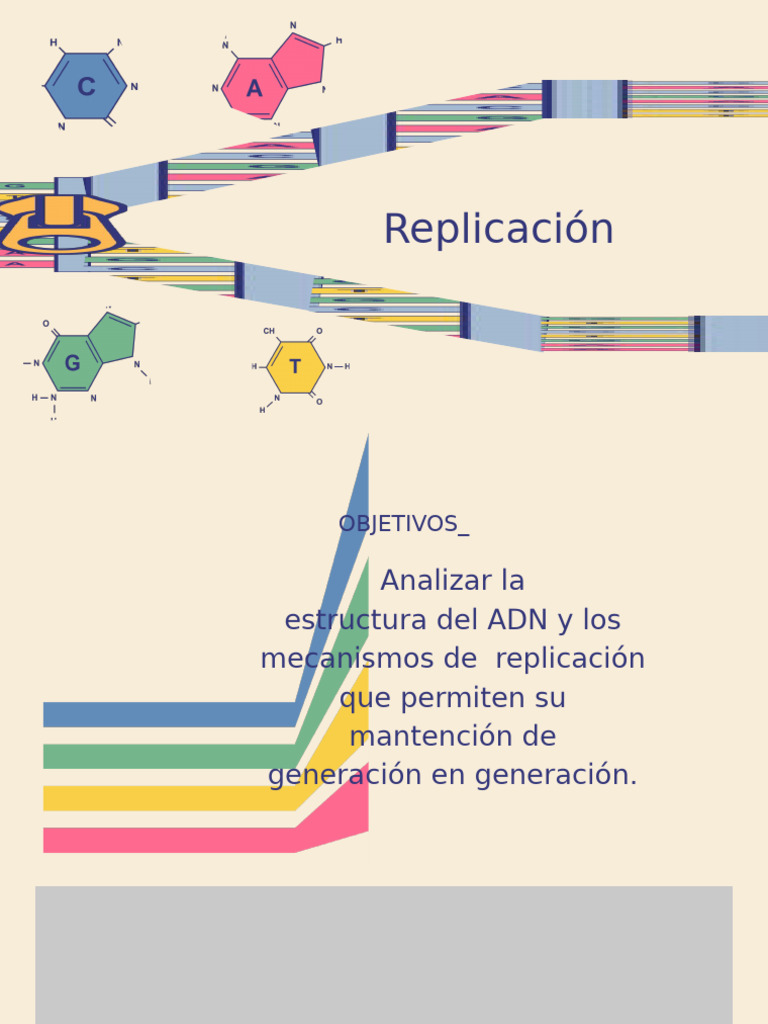 Mecanismos de Replicación del ADN | PDF | Replicación De Adn | Adn