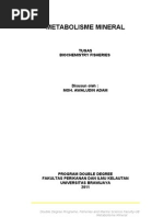 Download Metabolisme Mineral by Adam Danish Ghaisani SN91449022 doc pdf