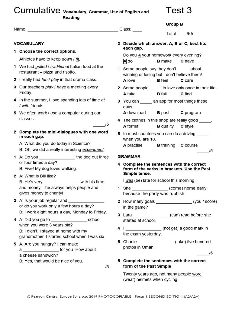 Vocabulary and Grammar Test A2/A2+ | PDF