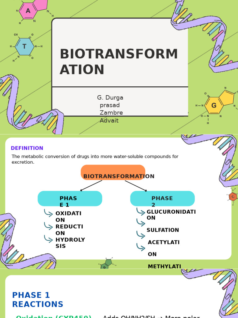 Biotransformation of Drugs Explained | PDF