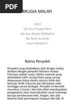 Download BRUGIA MALAYI by Dayou Junsu SN91453306 doc pdf