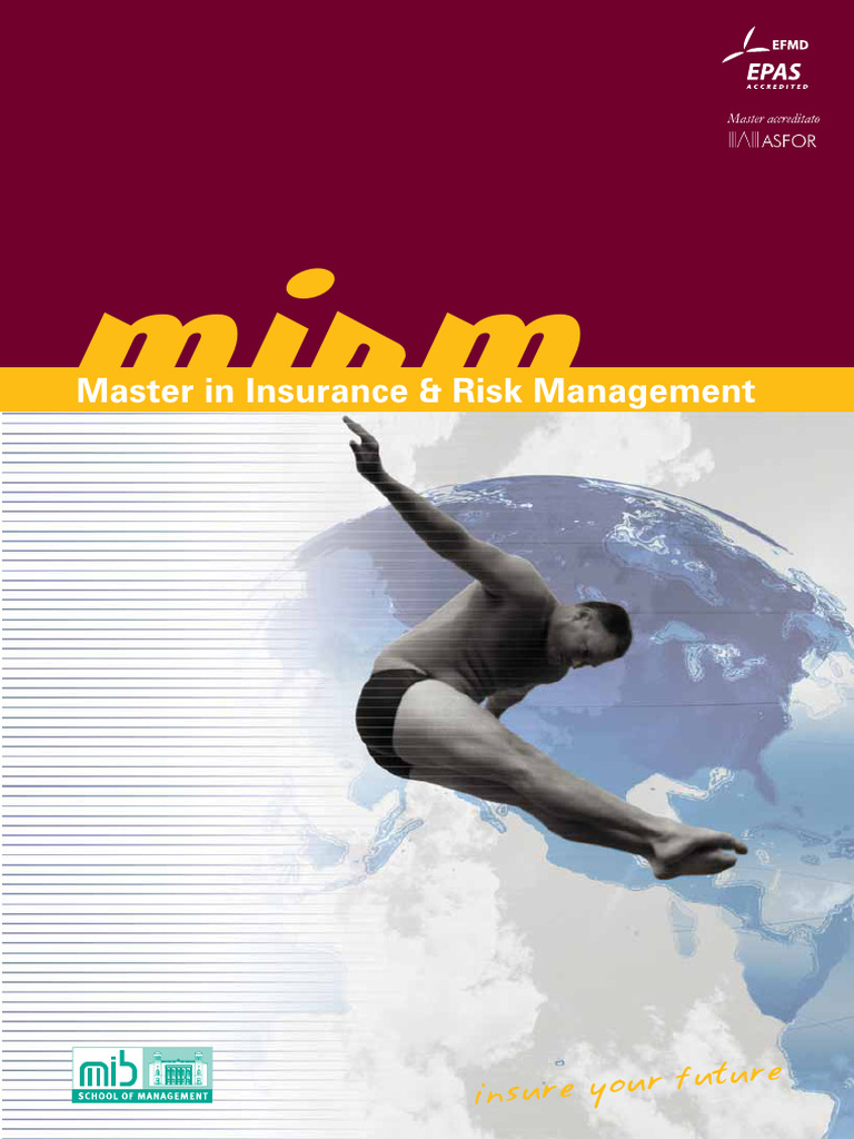 Cineas Master Risk Management Insights | PDF | Master Of Business ...