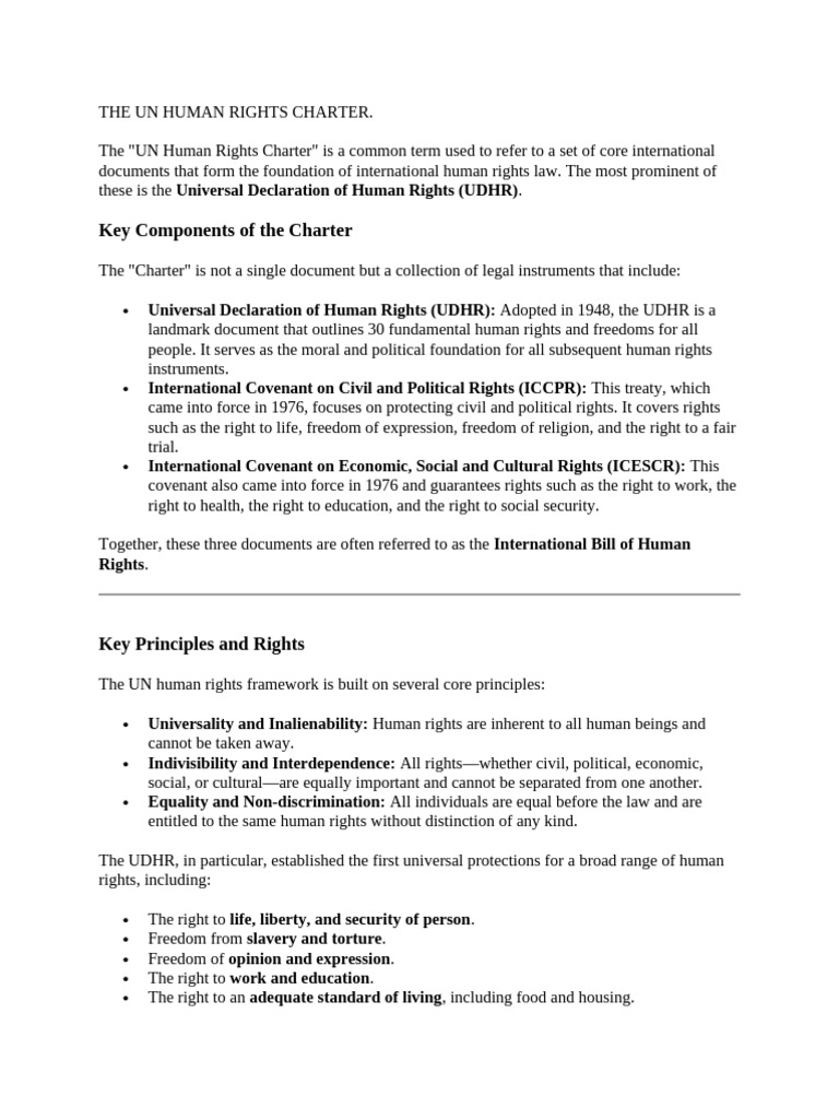 UN Human Rights Charter Overview | PDF | Human Rights | Government And ...