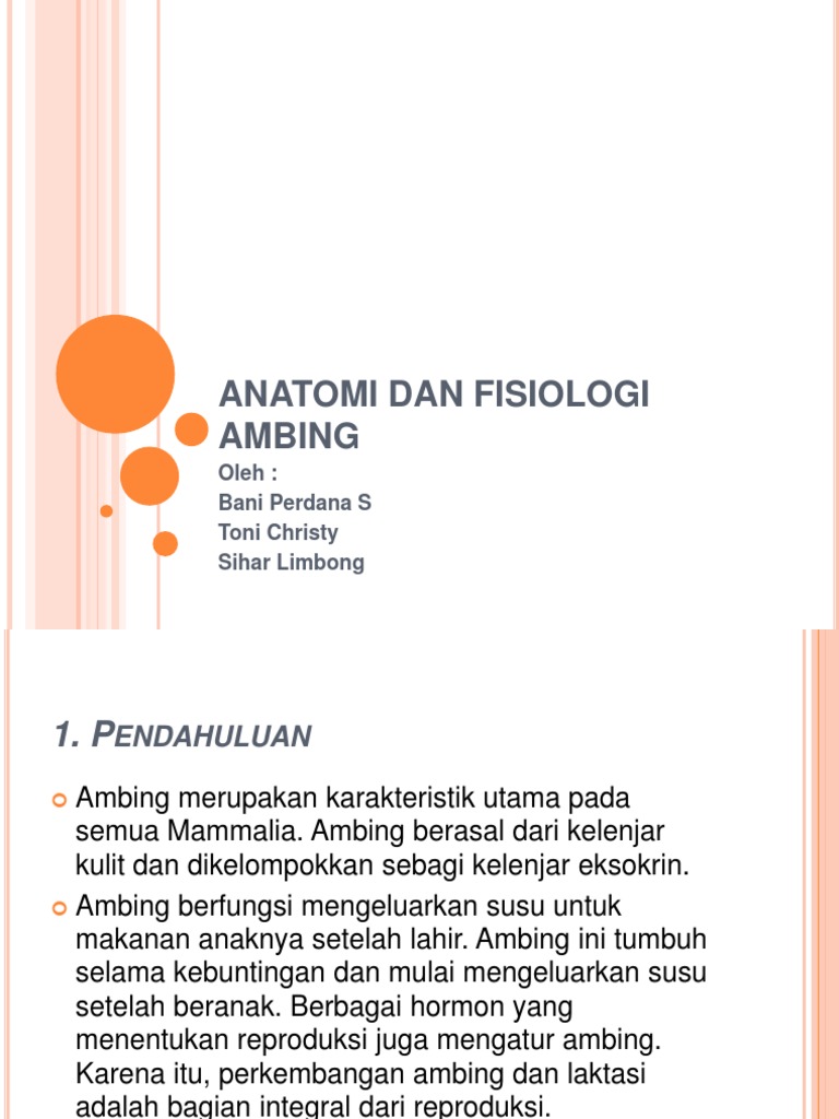 Anatomi dan Fisiologi Ambing Kambing | PDF | Pengembangan Diri