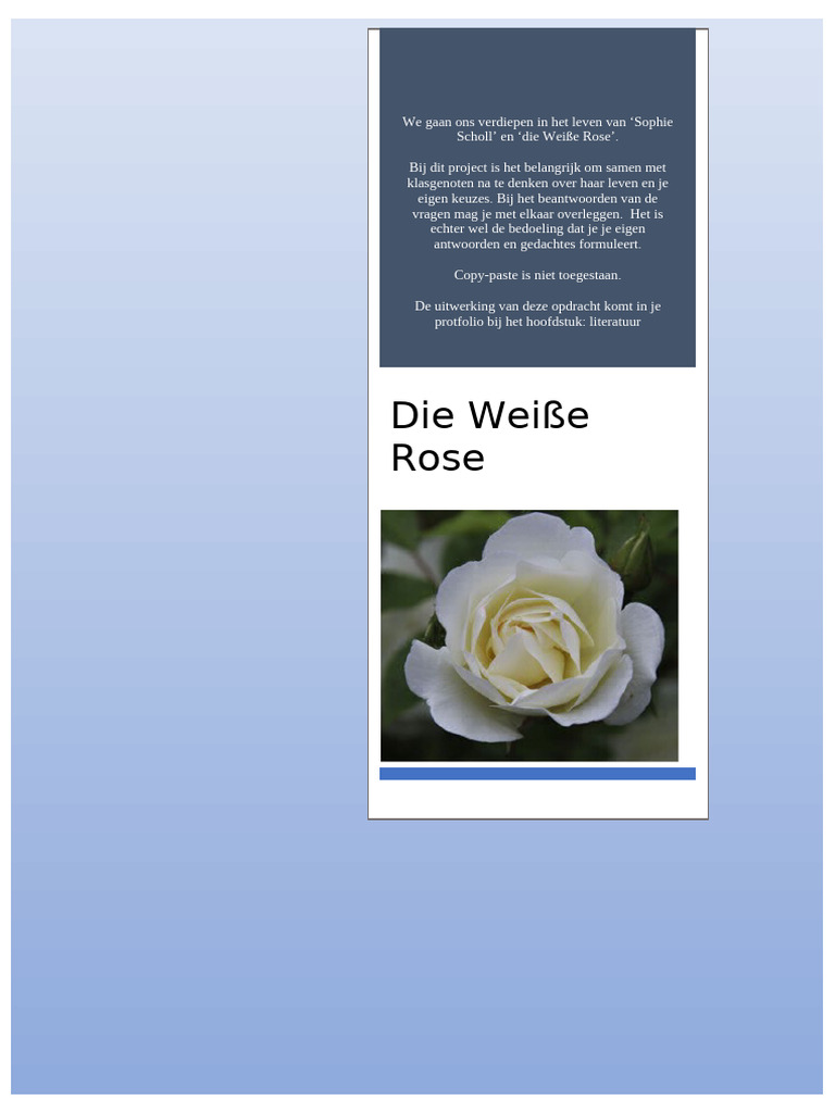 Die Weiße Rose | PDF