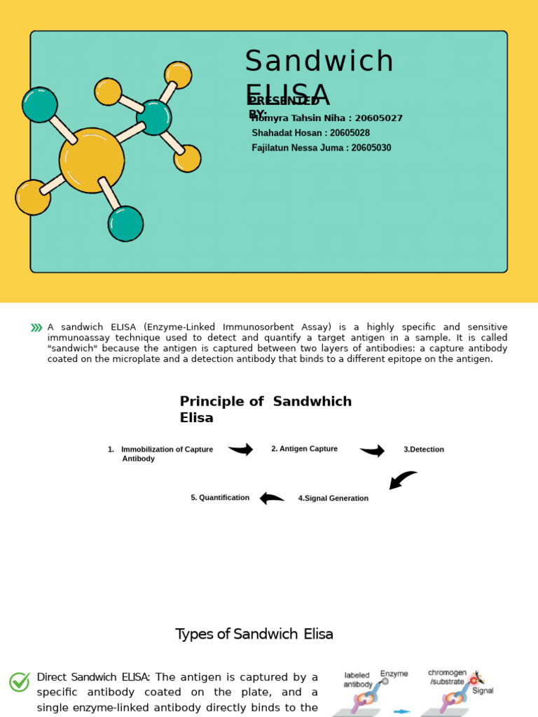 Sandwhich Elisa Protocol of The Class Test | PDF | Elisa | Immunoassay