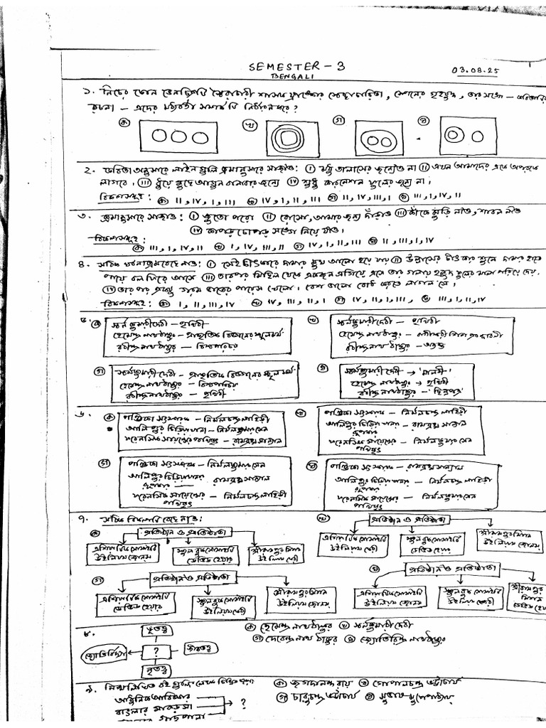 New Document | PDF