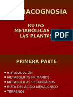 14157870 Rutas Metabolic As en Plantas