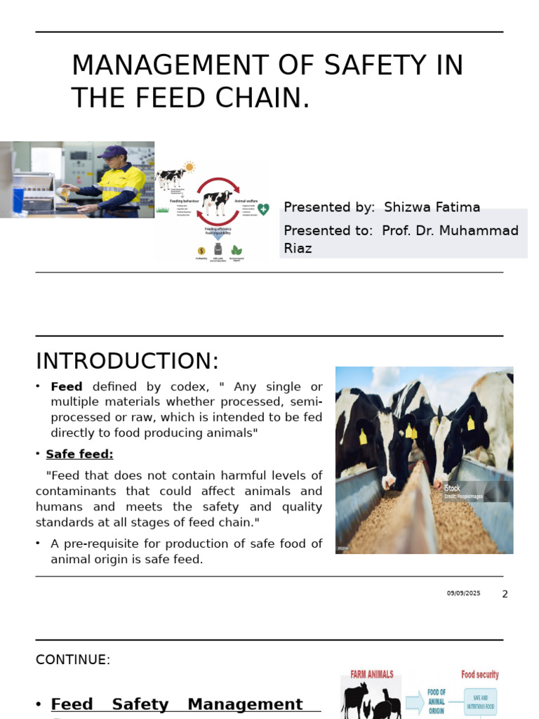 Feed Chain Safety Management Guide | PDF | Hazards | Foods
