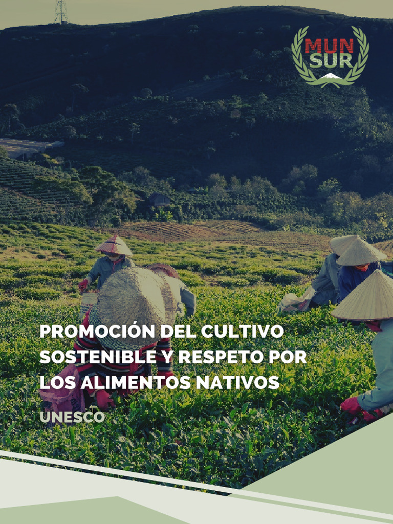 MUNSUR 2025: Cultivo Sostenible y UNESCO | PDF | Sustentabilidad ...