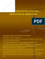 Procesamiento Levaduras