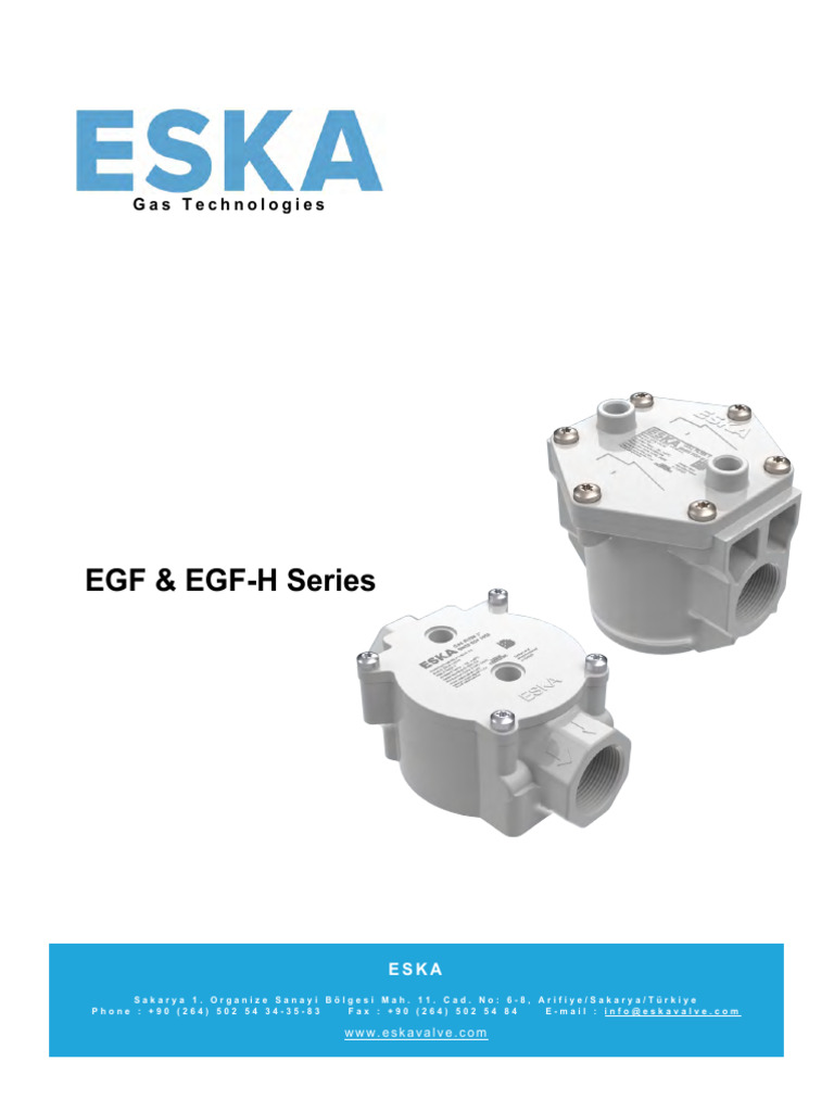 EGF Series Gas Filter Overview | PDF | Gases
