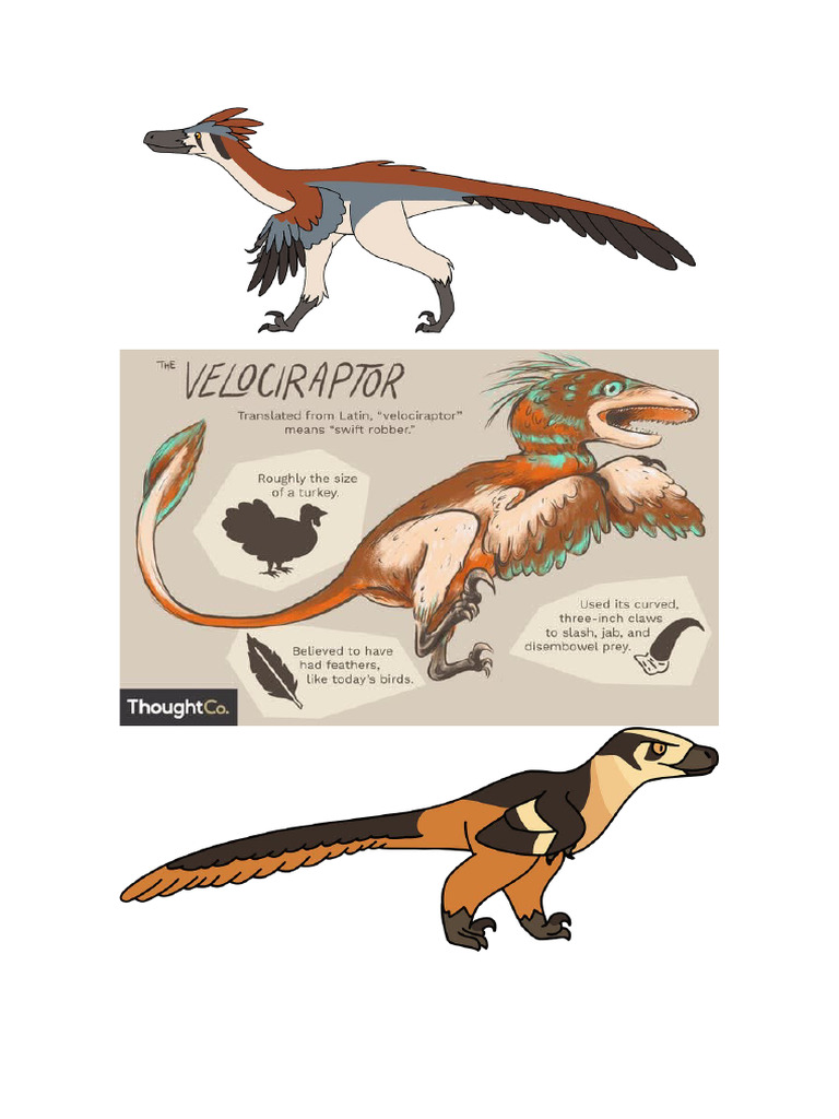 Velocirraptor | PDF