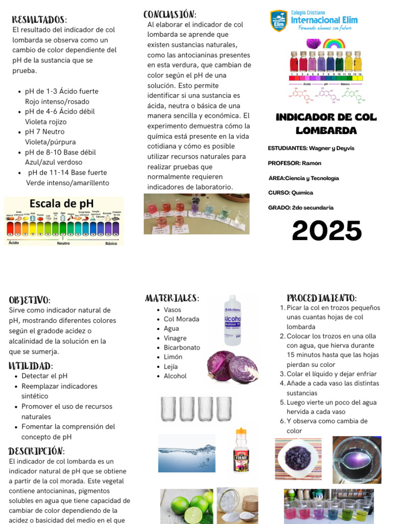 Indicador de pH con col lombarda | PDF | Ph | Color