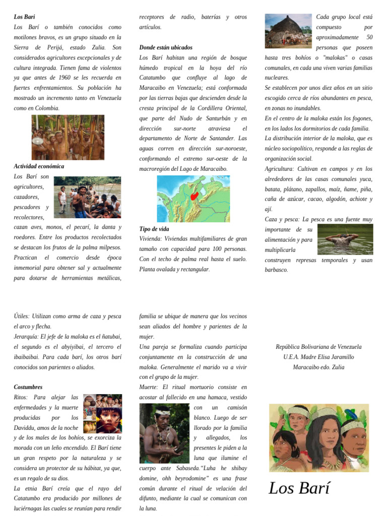 Cultura y Vida de los Barí en Zulia | PDF | Pueblos Indígenas de las ...