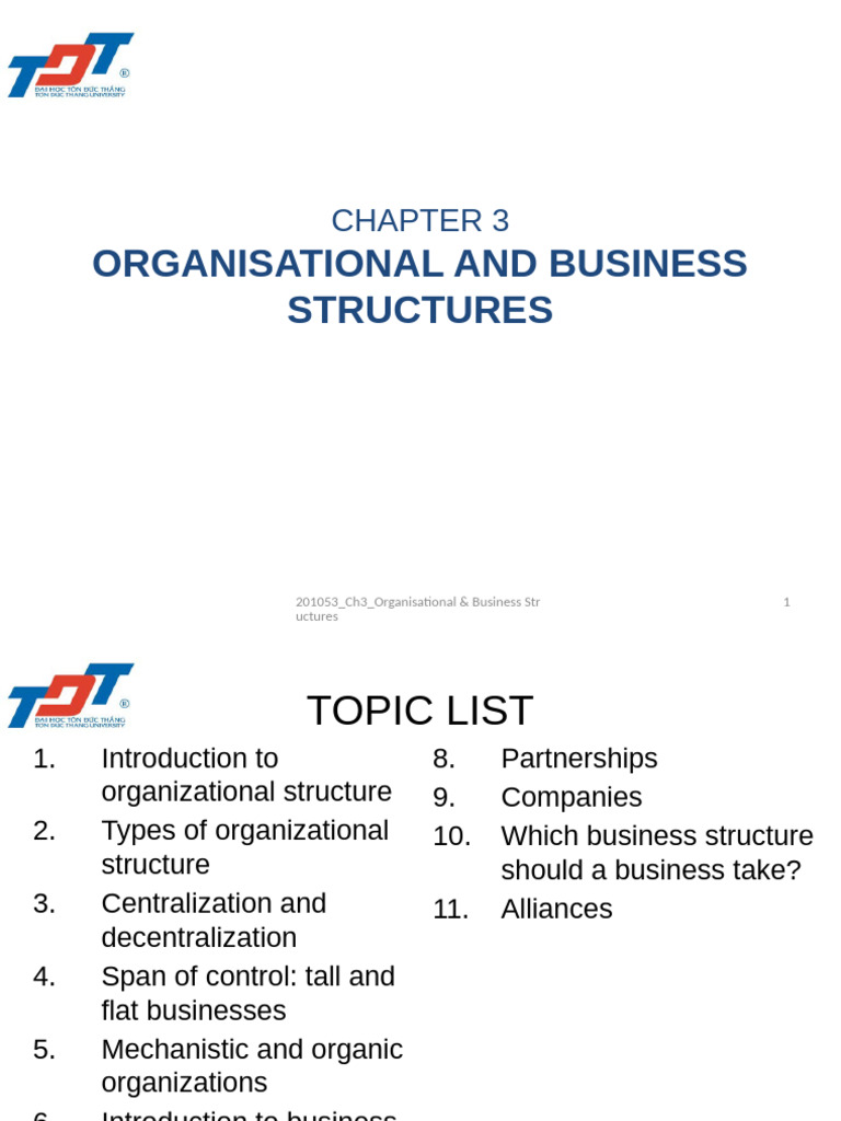Organisational and Business Structures Guide | PDF | Organizational ...