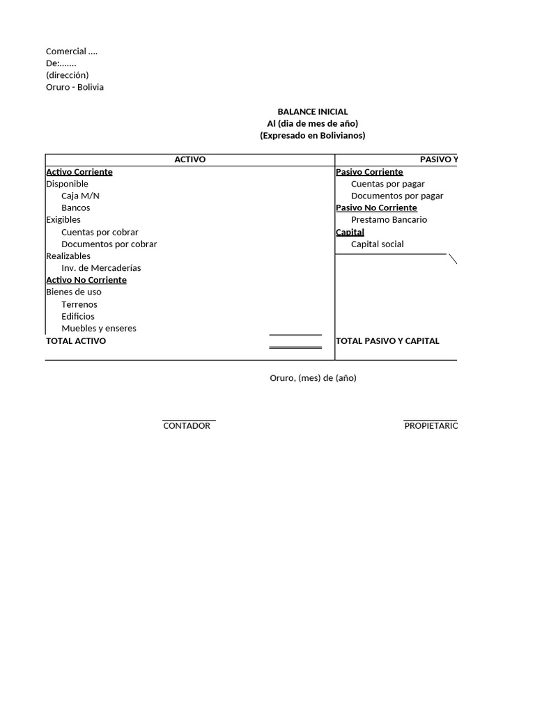 Balance Inicial Formato 2025 | PDF | Bancos | Contabilidad